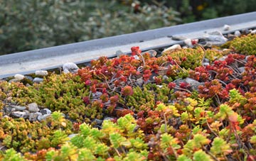 the cost of Stoke By Clare green roof installation