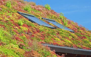 Stoke By Clare living roof systems
